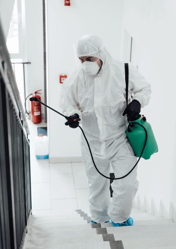 Covid Spray Disinfection Service