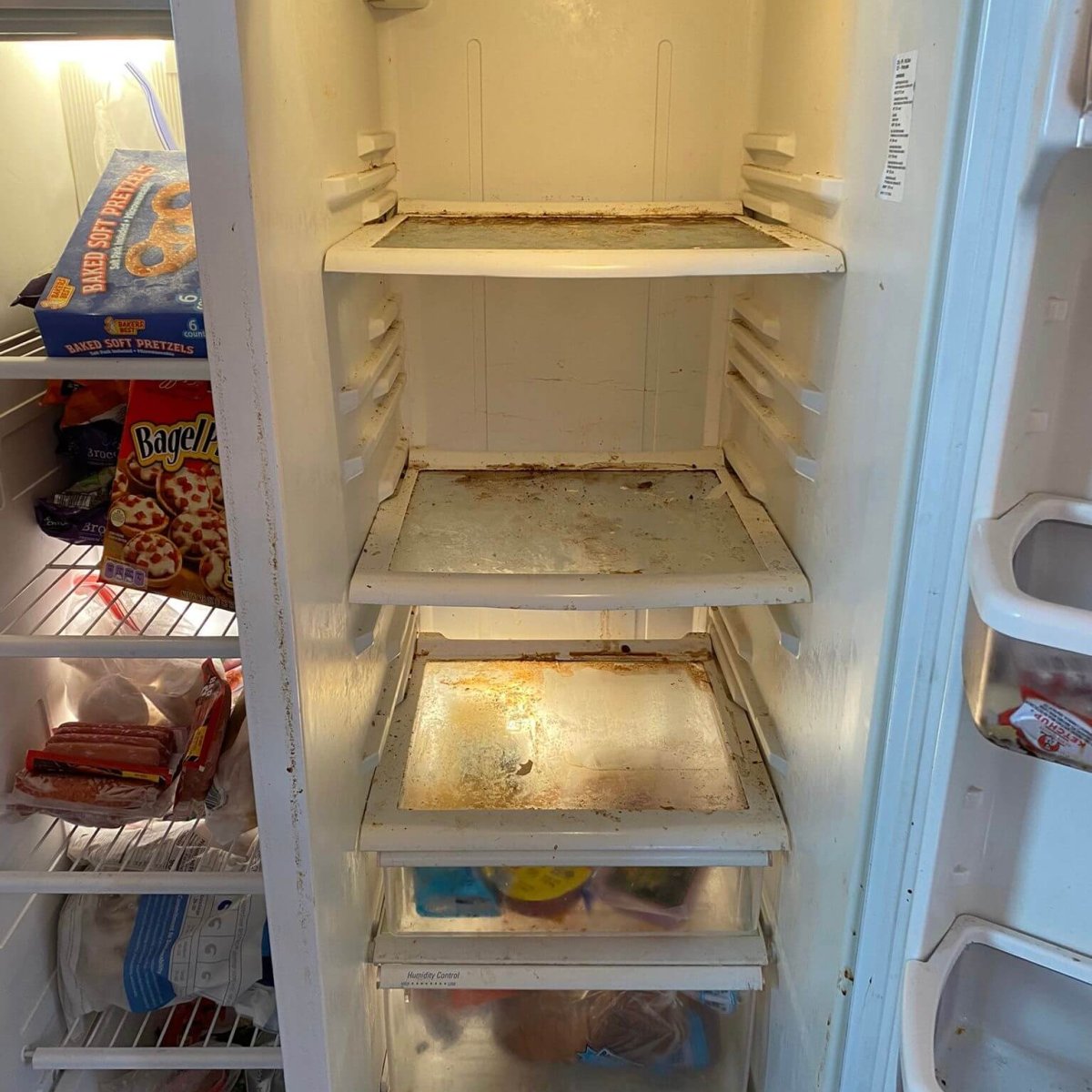 Fridge Cleaning Before