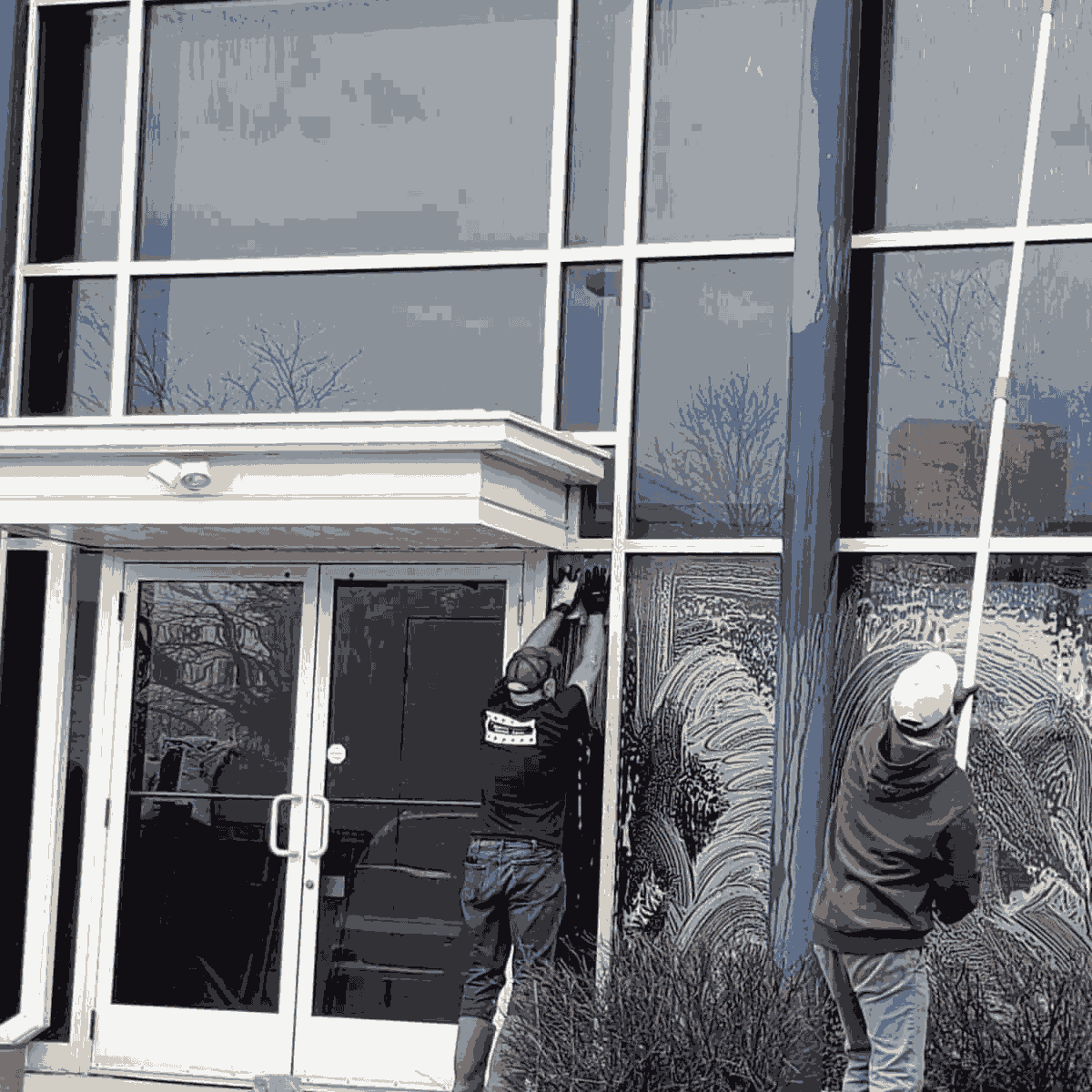 Window Cleaning Service